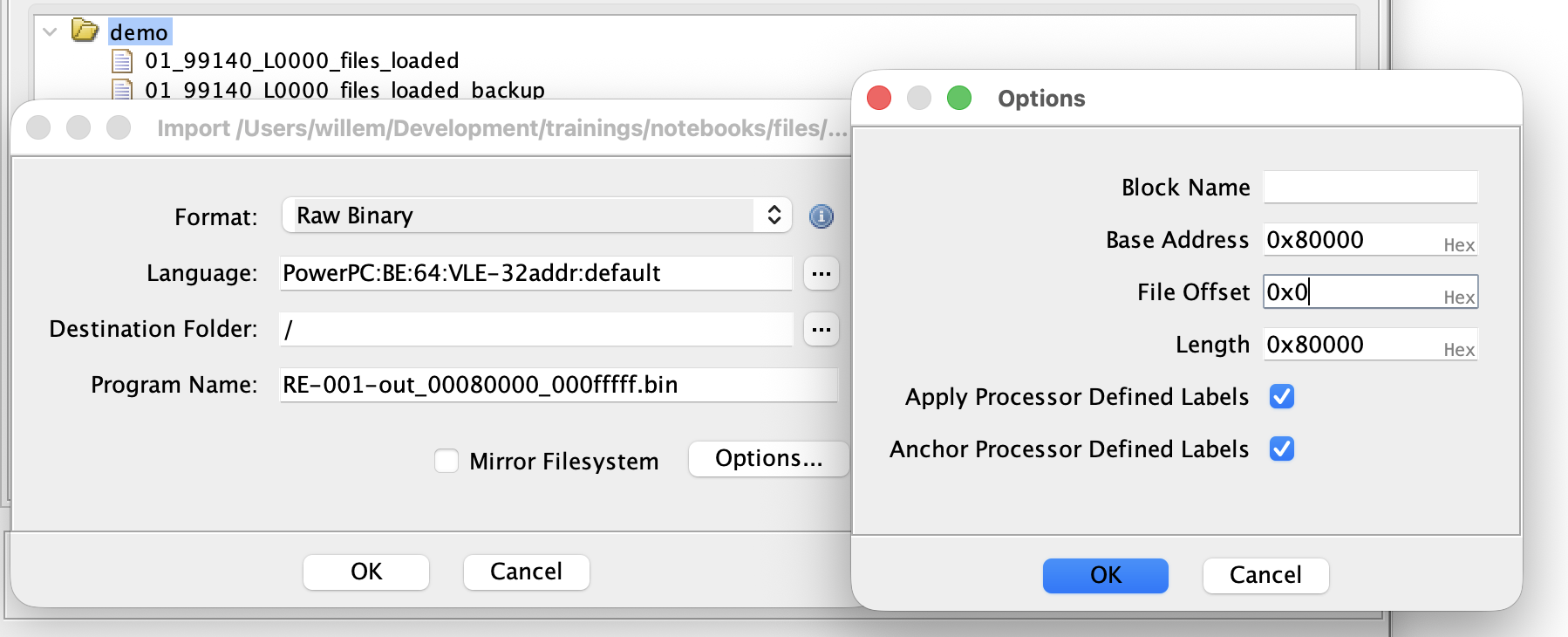 Import dialog loading a PowerPC VLE binary with a loading offset of 0x80000